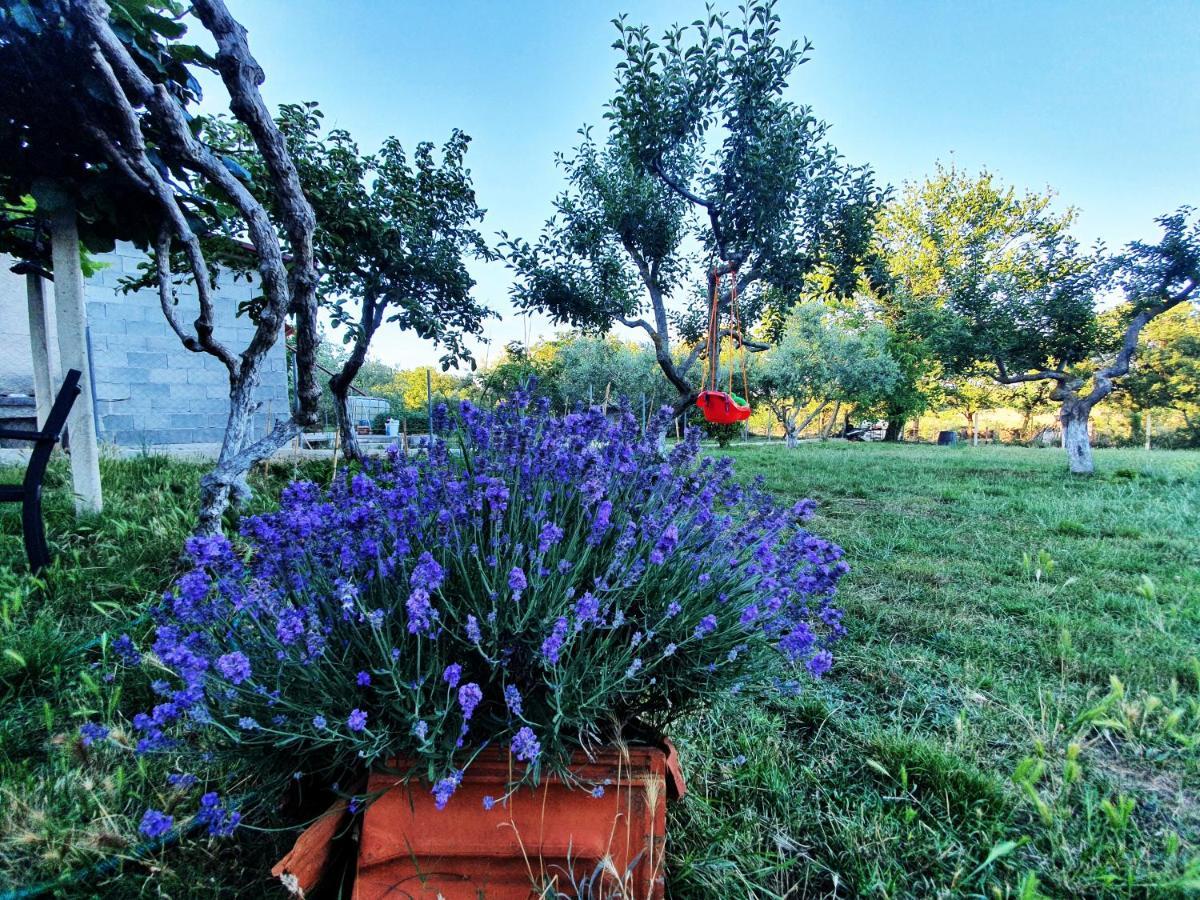 Una's Cottage Medolino Esterno foto